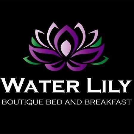 Water Lily Boutique B&B And Bungalow Heviz Exterior photo