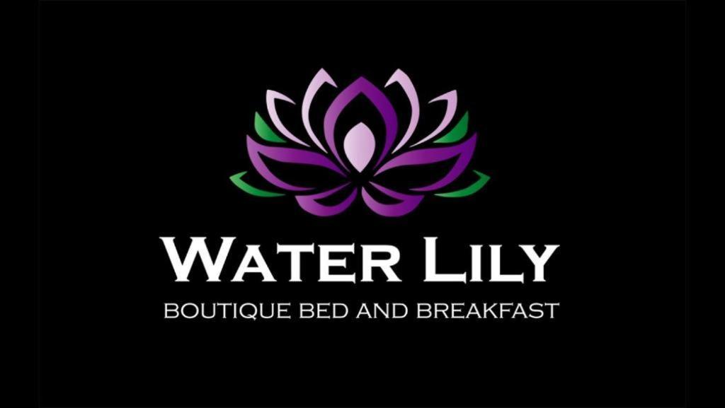 Water Lily Boutique B&B And Bungalow Heviz Exterior photo